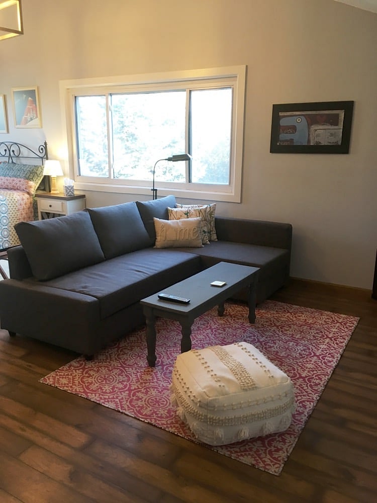 Pull-out sofabed with storage, fully furnished studio apartment with art, home theater, and more. The window has been replaced since this photo was taken--new easy-operation window with top-down, bottom-up blackout blinds.