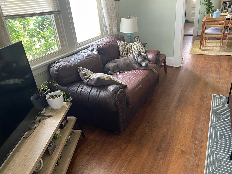Furnished Finder property 714583_1 photo 3