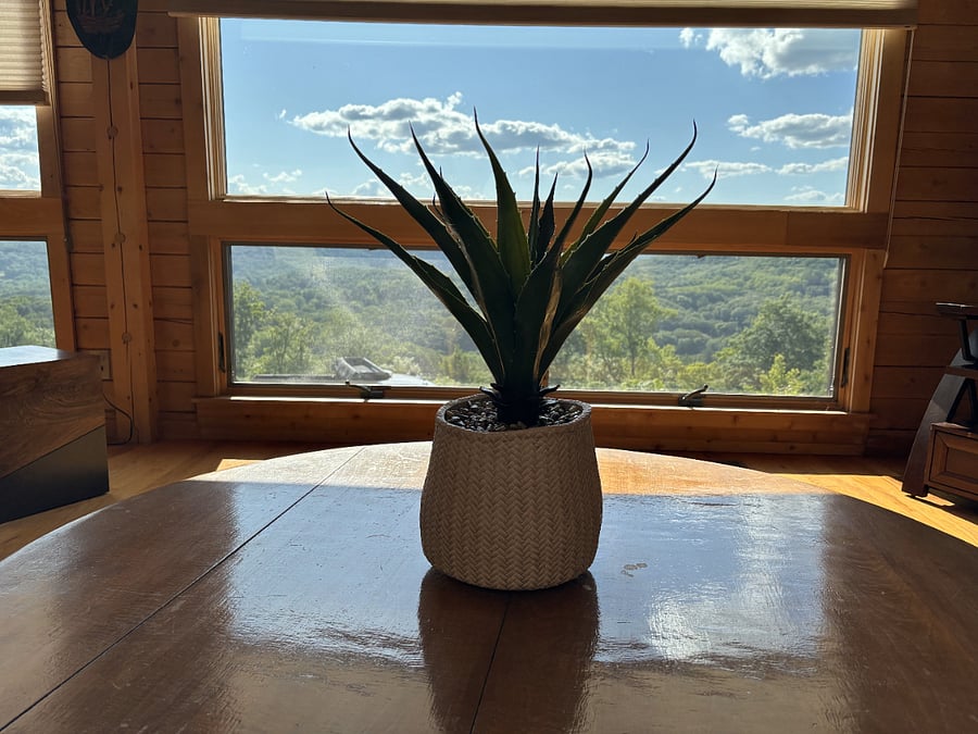 Furnished Finder property 714696_1 photo 14