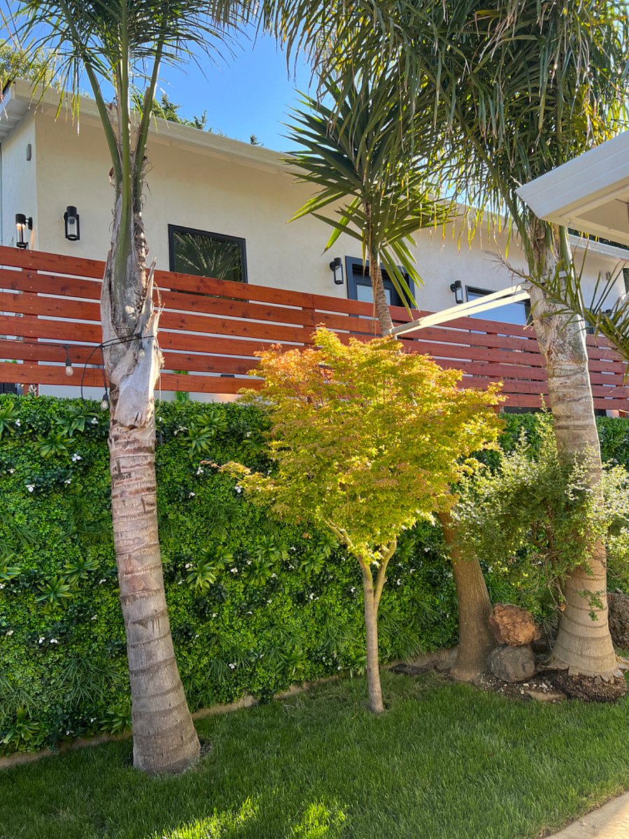 Furnished Finder property 714823_1 photo 37