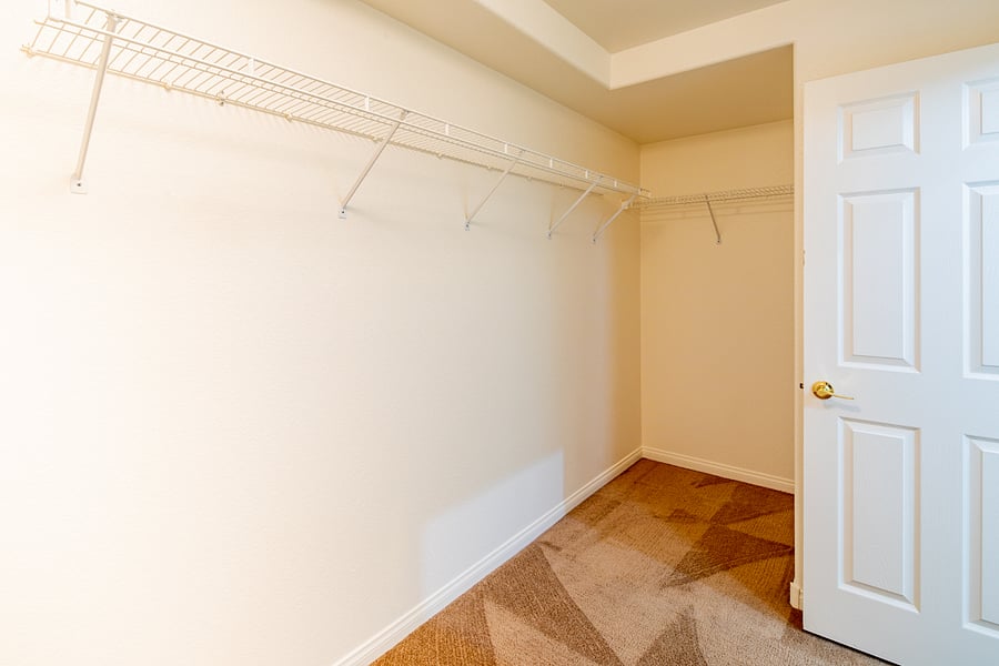 Large Primary Walk-in Closet with plenty of storage