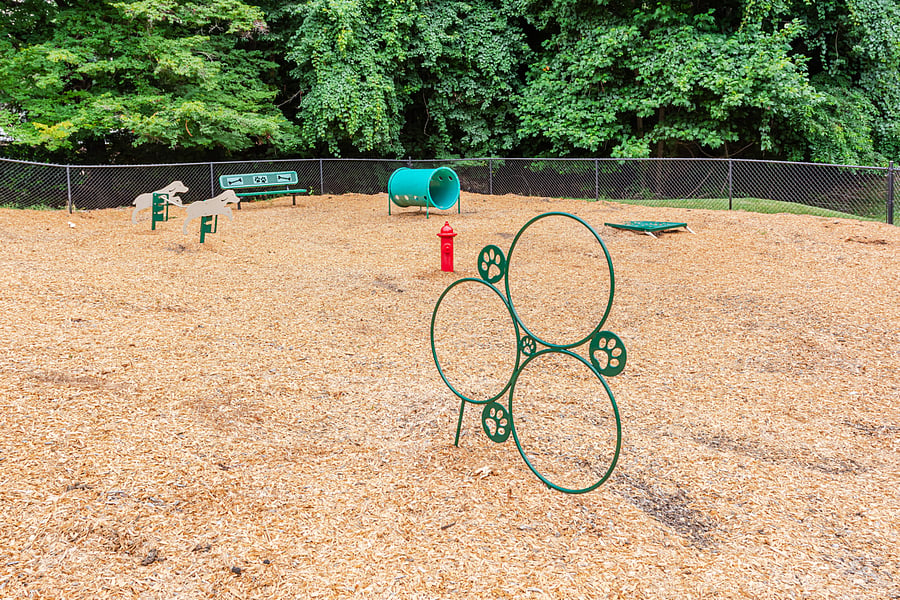 Dog park.