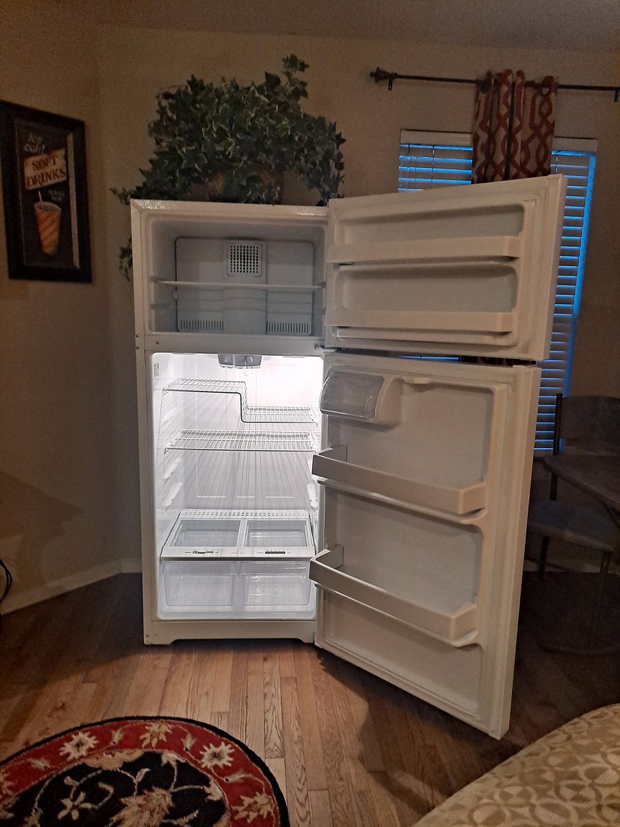 Full size fridge! Plenty of space for your food and drinks!
