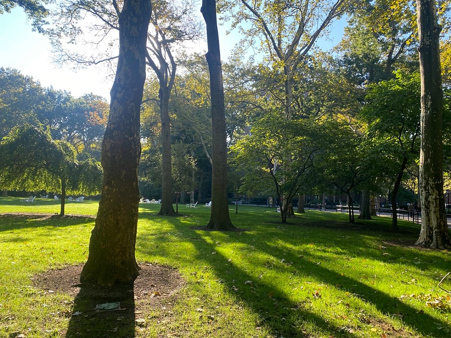 green areas around the building