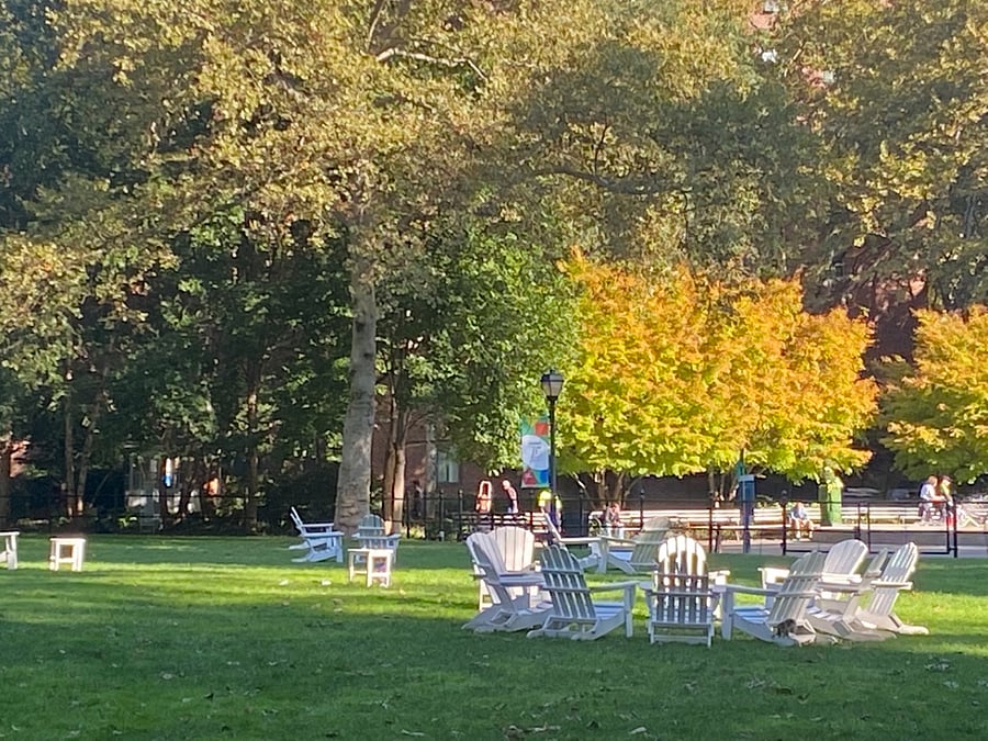 also the oval