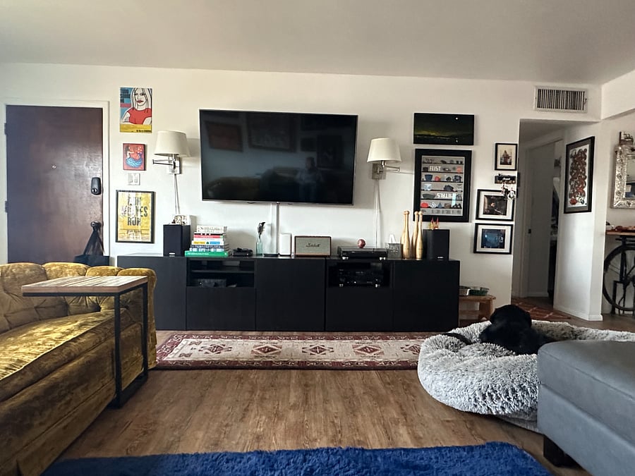65" television, stereo, vinyl, bluetooth speaker.
