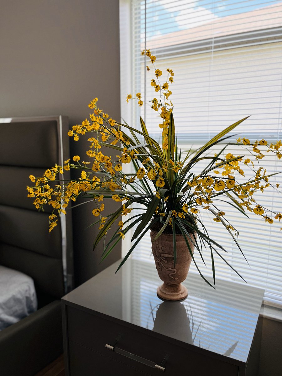 Furnished Finder property 715191_1 photo 41