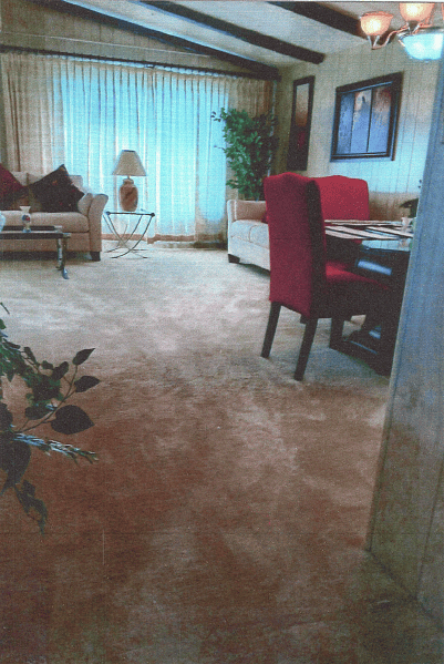 View of living/Dining Room