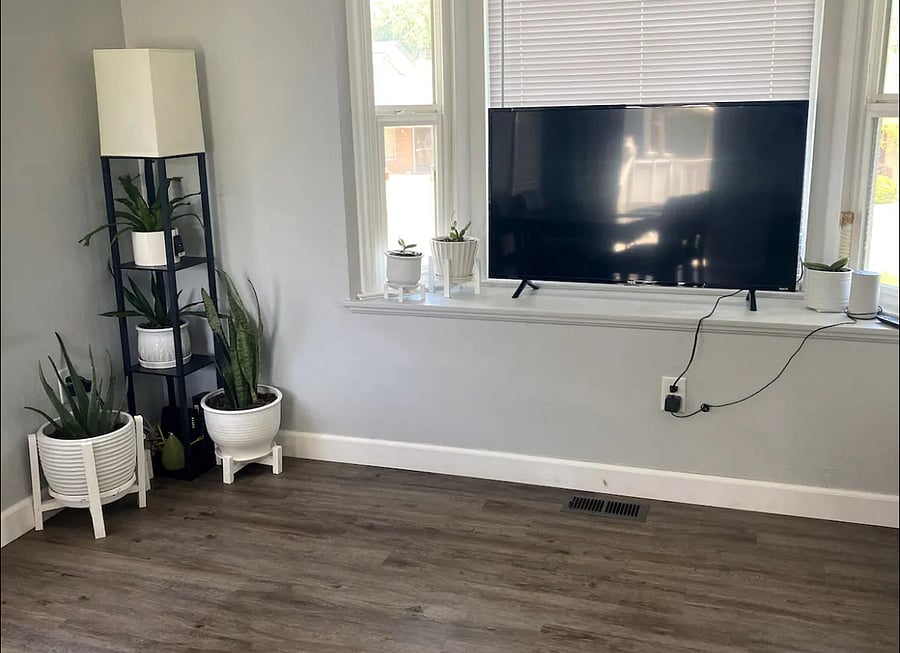 TV