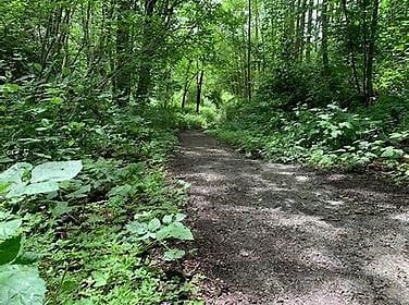 Watershed Park ~ lovely place to walk!