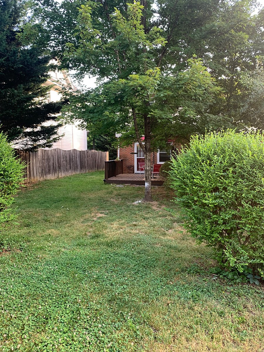 Furnished Finder property 715522_1 photo 8