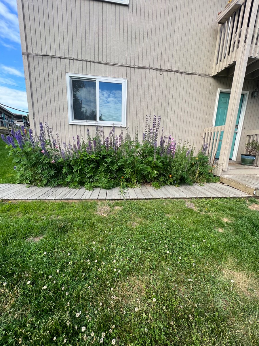 Furnished Finder property 715580_1 photo 17