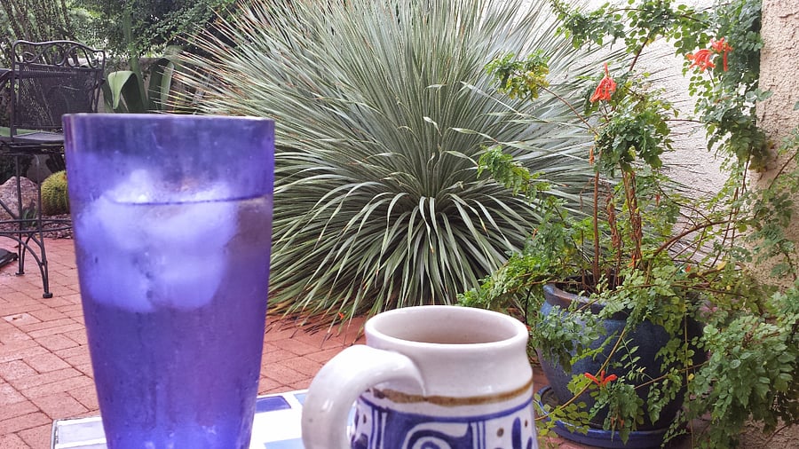Morning coffee time.