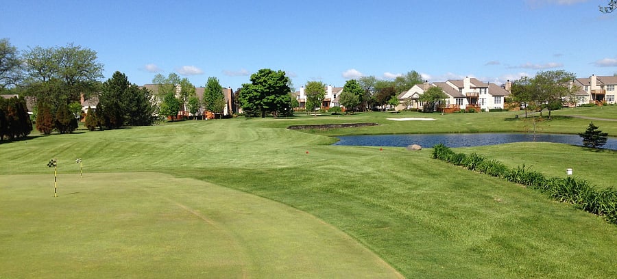 Bushwood Golf Course