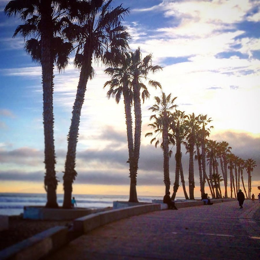 The Promenade is a wonderful gathering place for local festivals too!