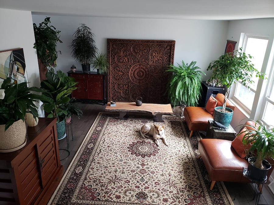 Furnished Finder property 716105_1 photo 3