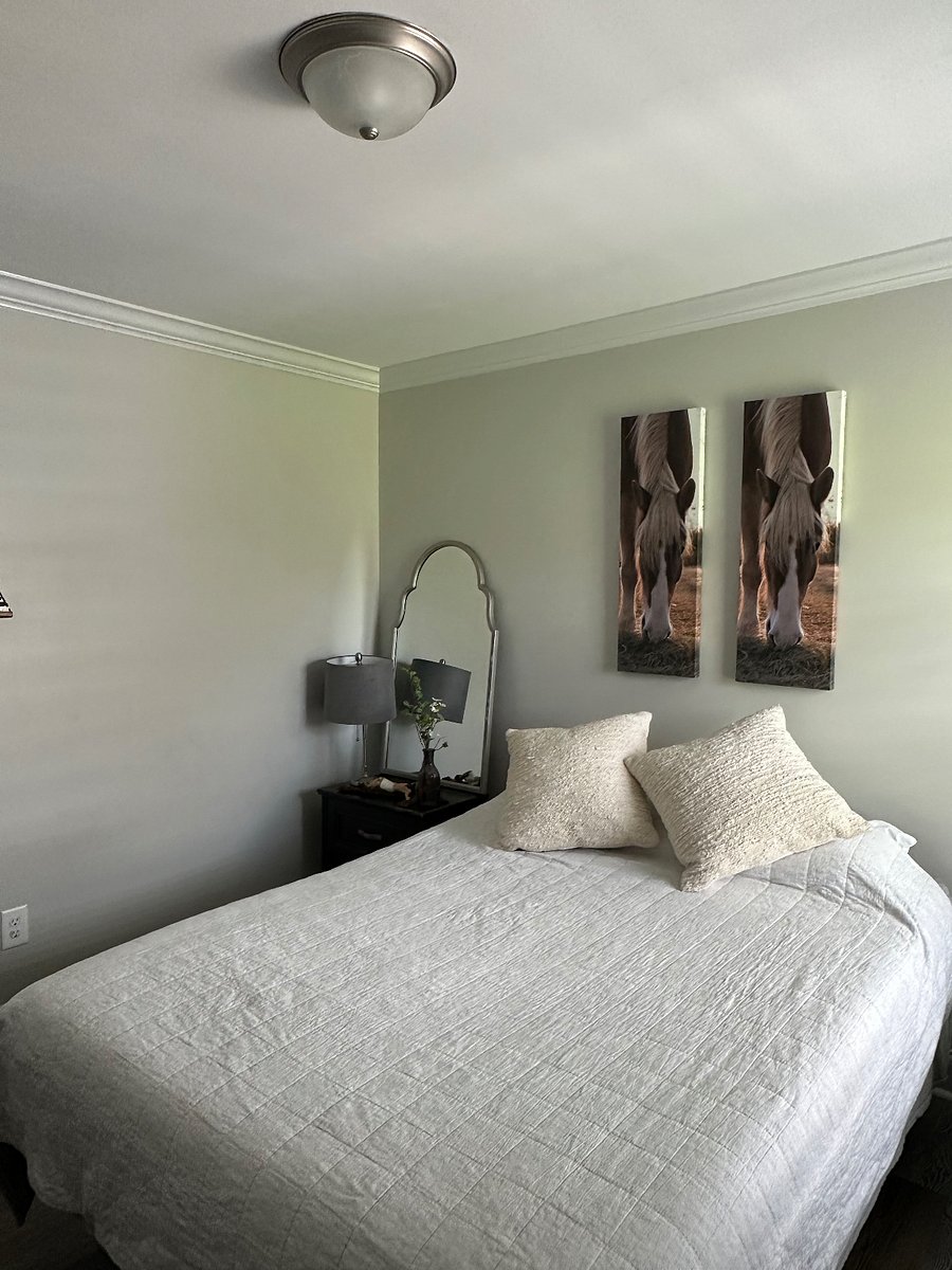 Furnished Finder property 716194_1 photo 1