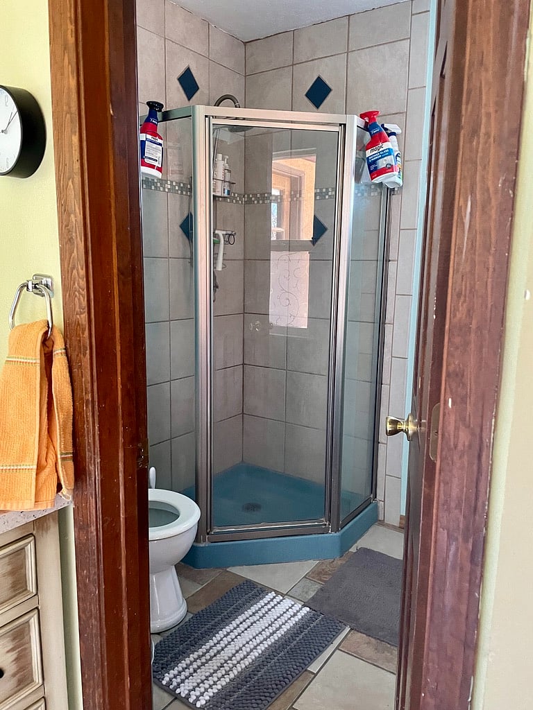 shower with glassdoors and toilet