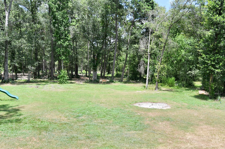Furnished Finder property 716816_1 photo 30