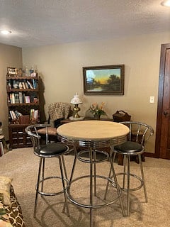 Lower level living area