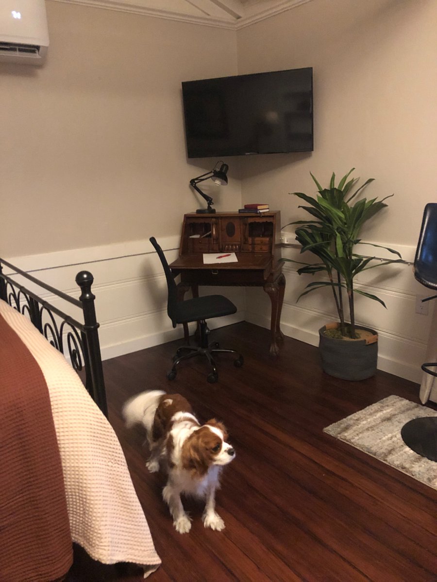 Furnished Finder property 716944_1 photo 9