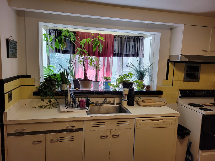 Furnished Finder property 716946_2 photo 9