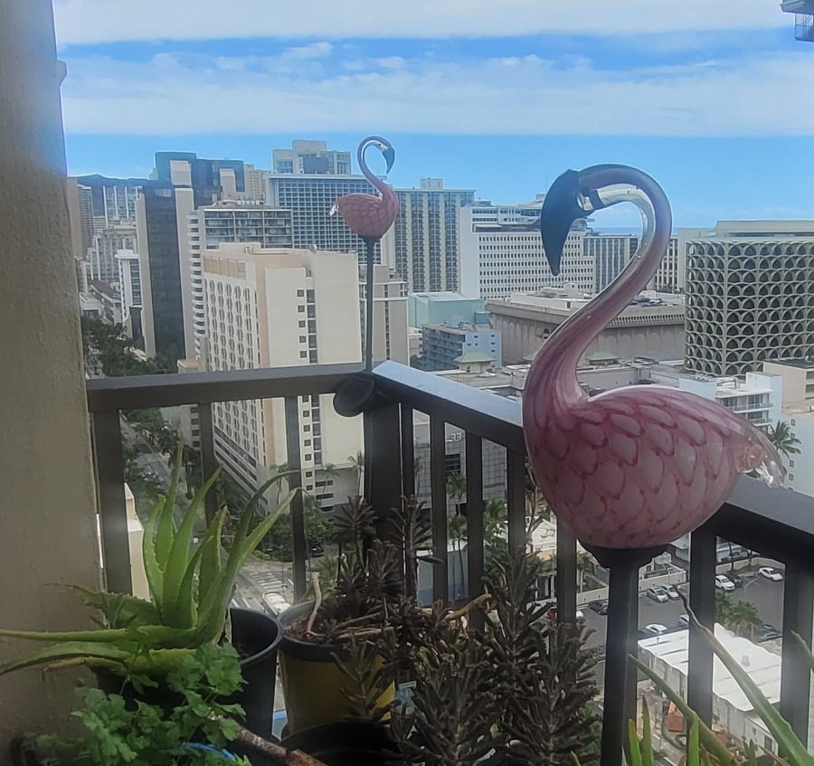 Furnished Finder property 716974_1 photo 2
