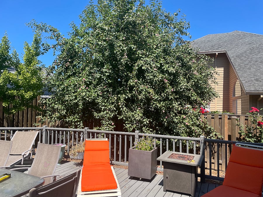 Furnished Finder property 717045_1 photo 9