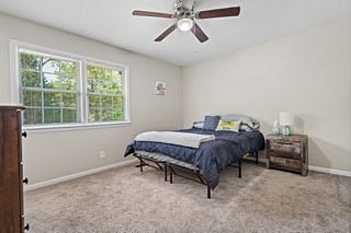 Furnished Finder property 717191_1 photo 15