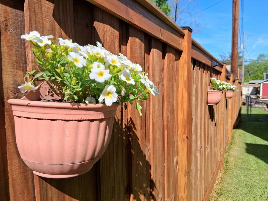 Private Side Yard with Private Entrance
