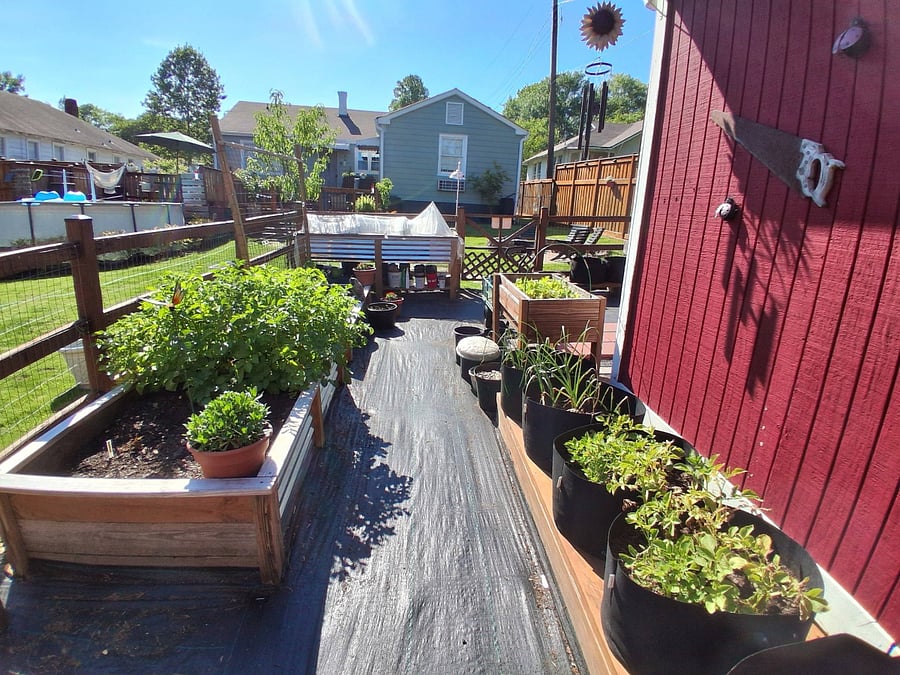Vegetable Garden
