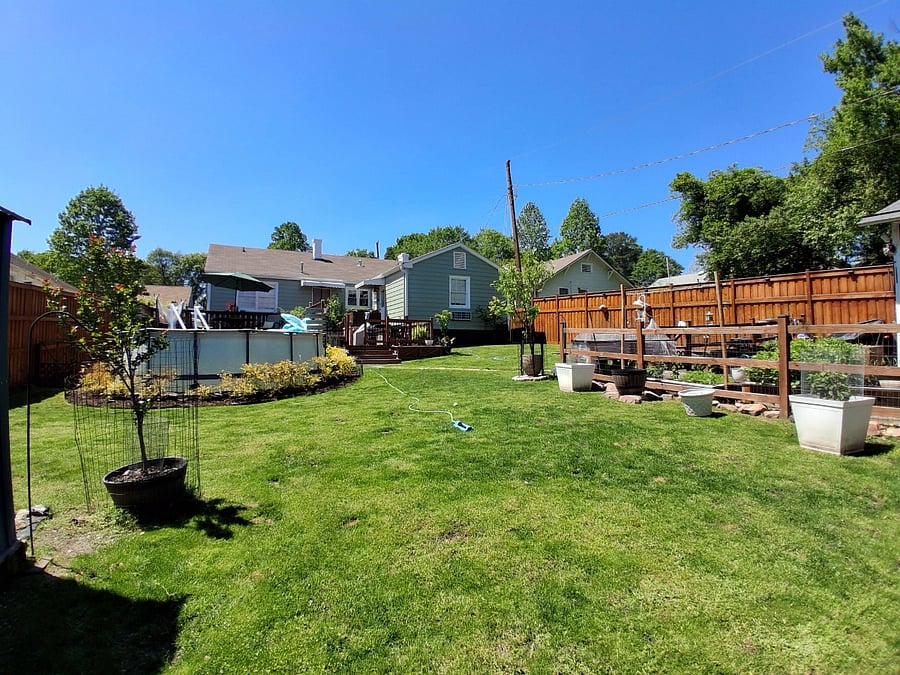 View from Back Fence