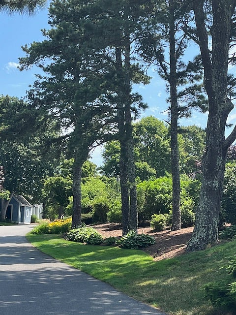 The area is lovely, summer or winter.