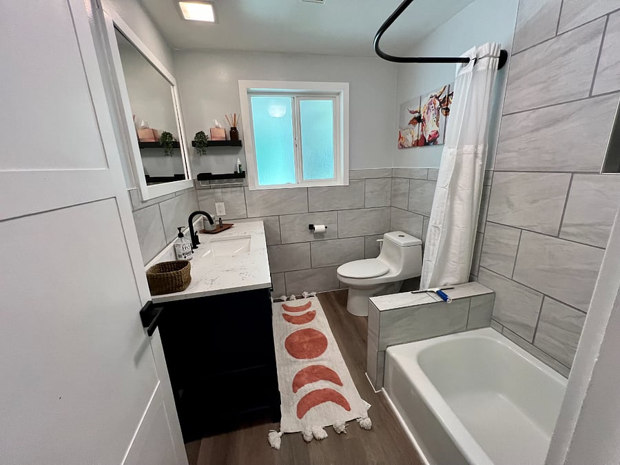 Main bath, with shower + bathtub.