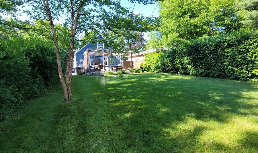 back yard