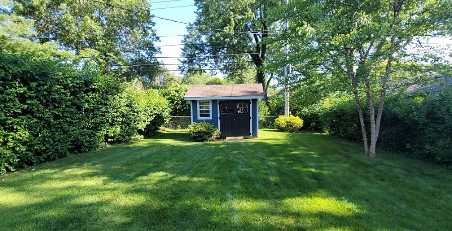 back yard