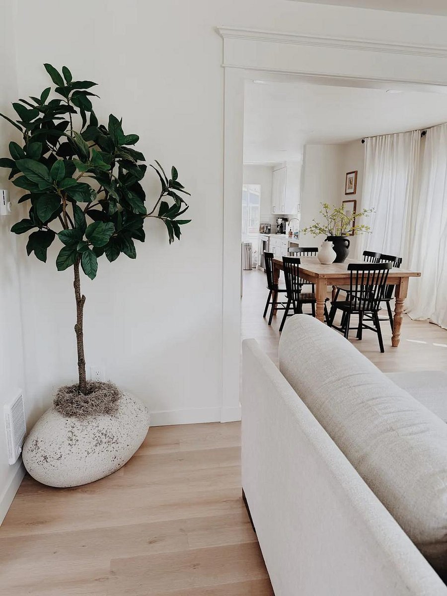 Open-concept living area with natural light.