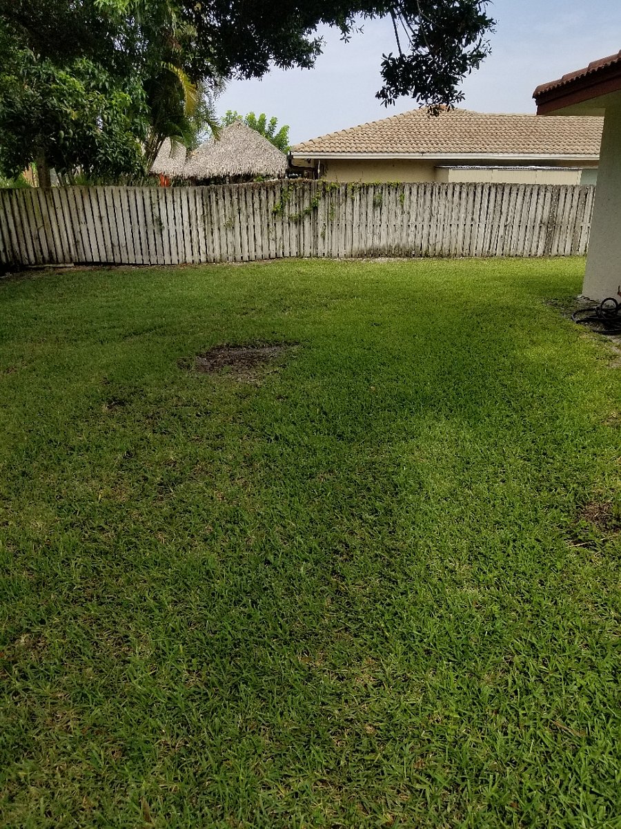 back yard side view