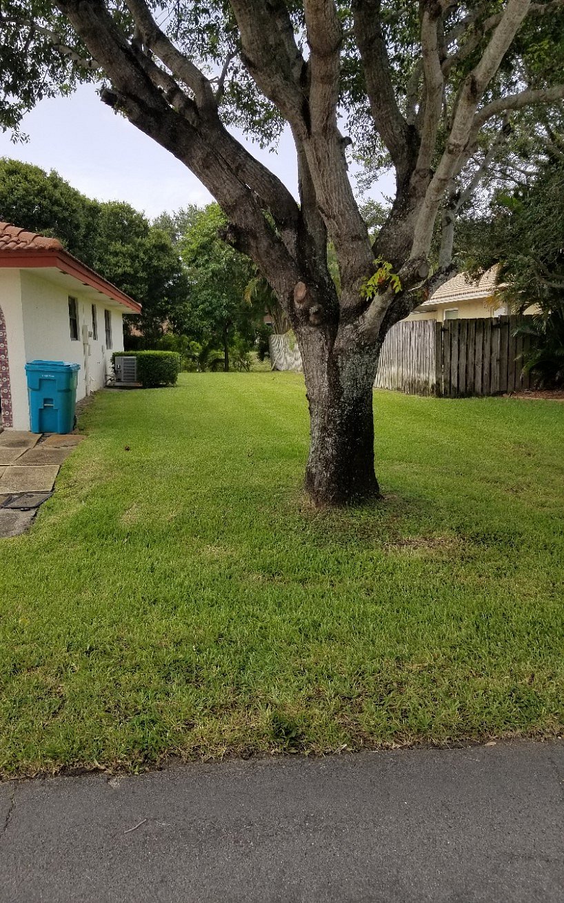 side yard
