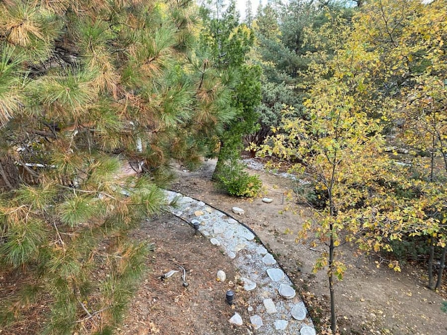 Cobblestone garden path through the trees