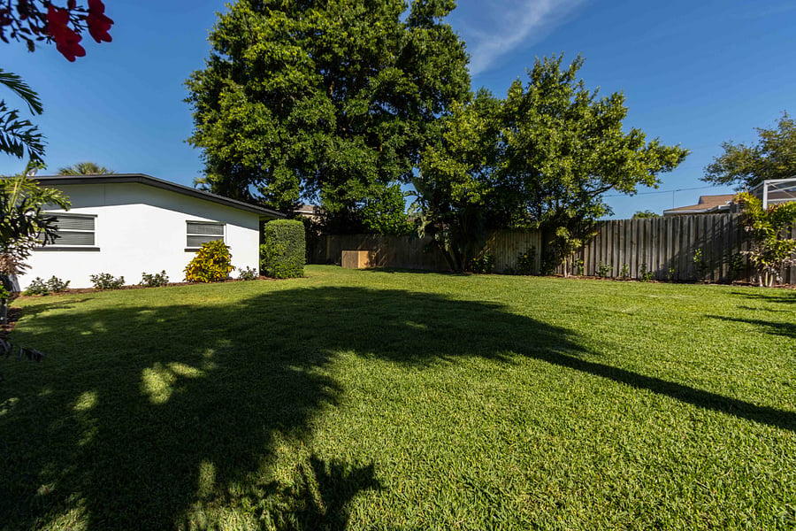 Large Yard