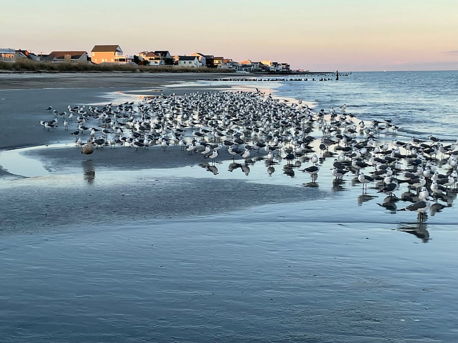 Buckroe Beach - 5 minutes Away