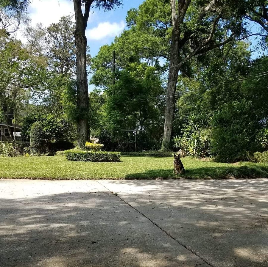 Furnished Finder property 717944_1 photo 20