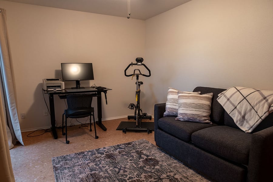 Bedroom 3 (pullout couch)