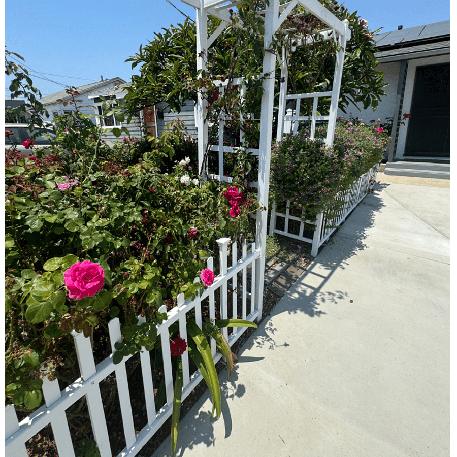 Furnished Finder property 718186_1 photo 20