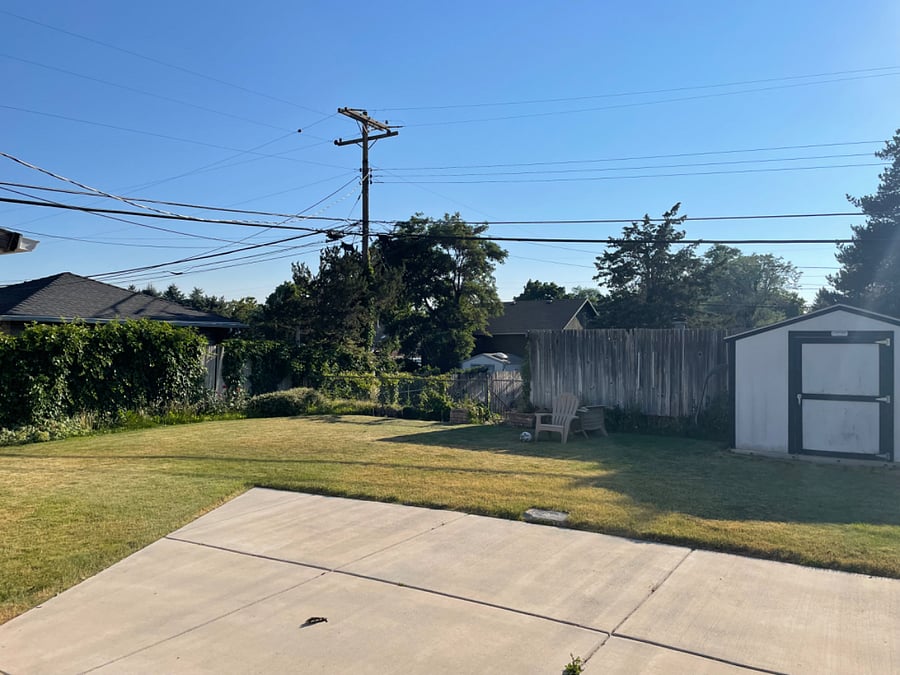 Shared backyard