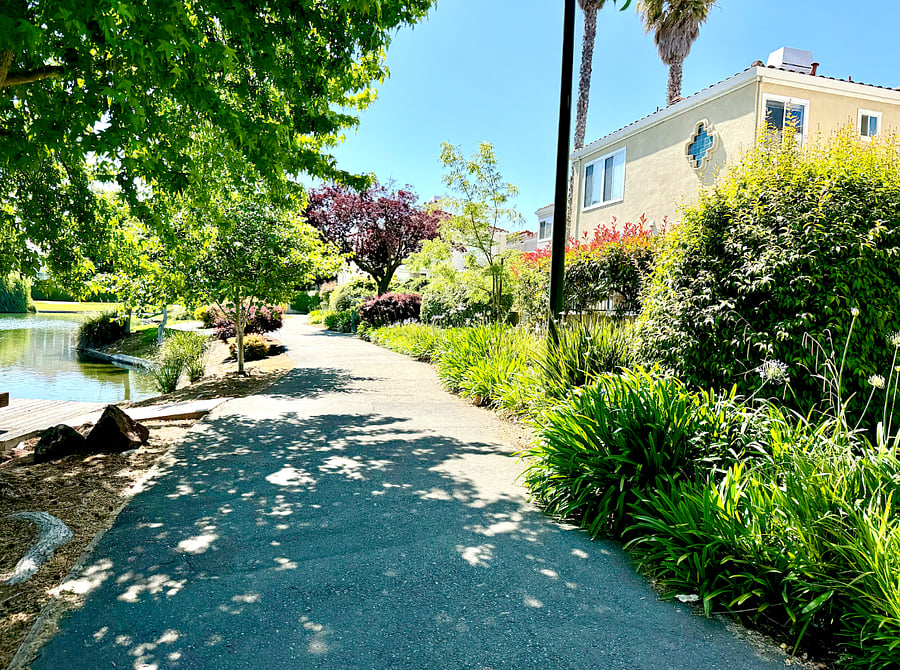Lagooon Walking/biking path - just steps away from house.  Will take you to small shopping center about .6 miles away or to the Bay less than .5 mile away. 