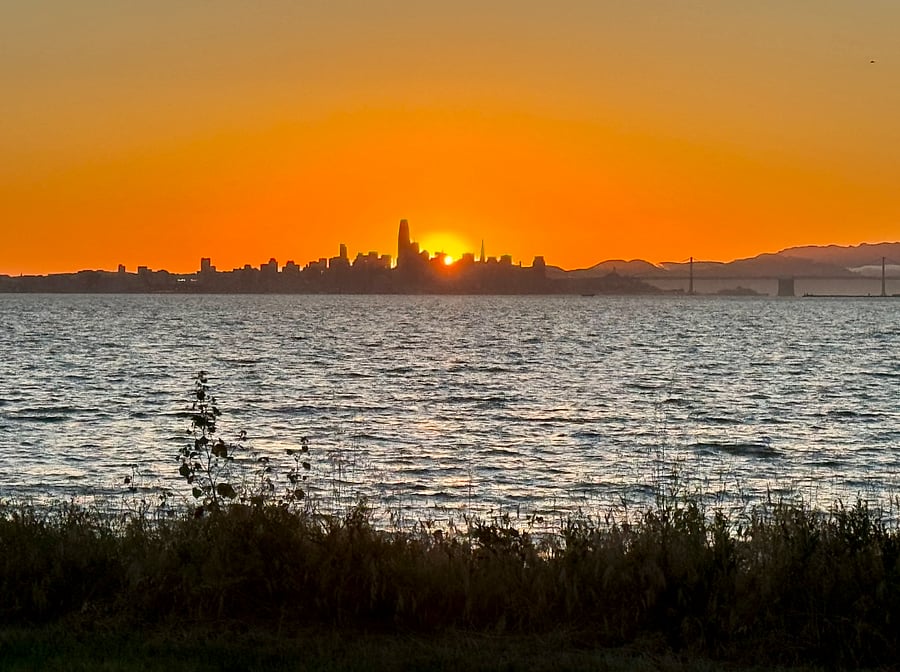 View of the SF skyline from Shoreline park, around .5 mile walk along running/bike/walking trail.