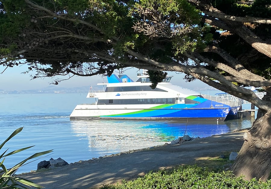 Harbor Bay Ferry is a 10-15 min walk and goes to the SF Ferry Bldg in the Financial District.