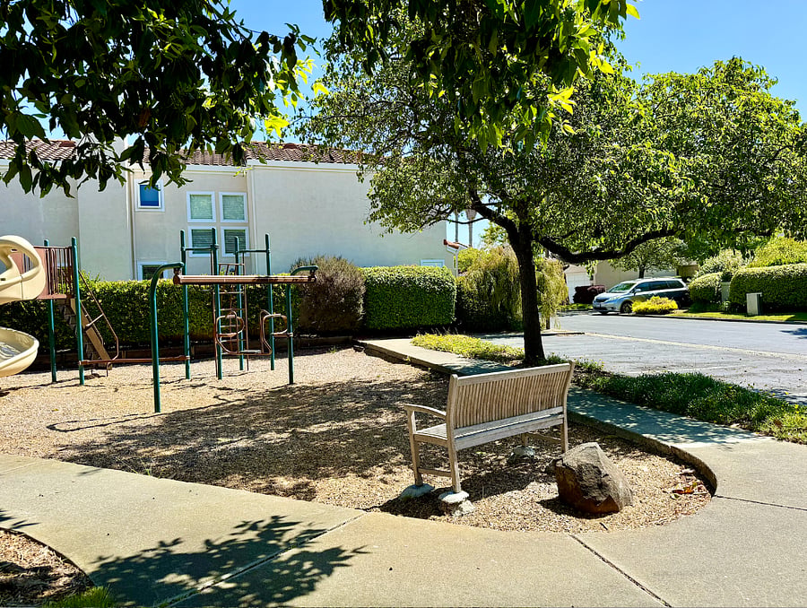 Playground on our cul-de-sac.
